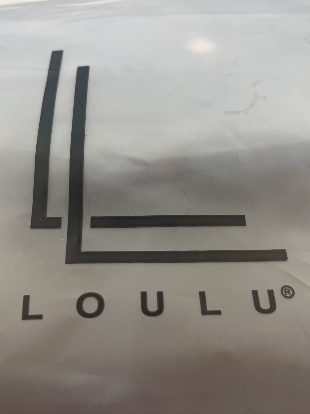 LOULU Women's Crossbody Bag - LV dup
